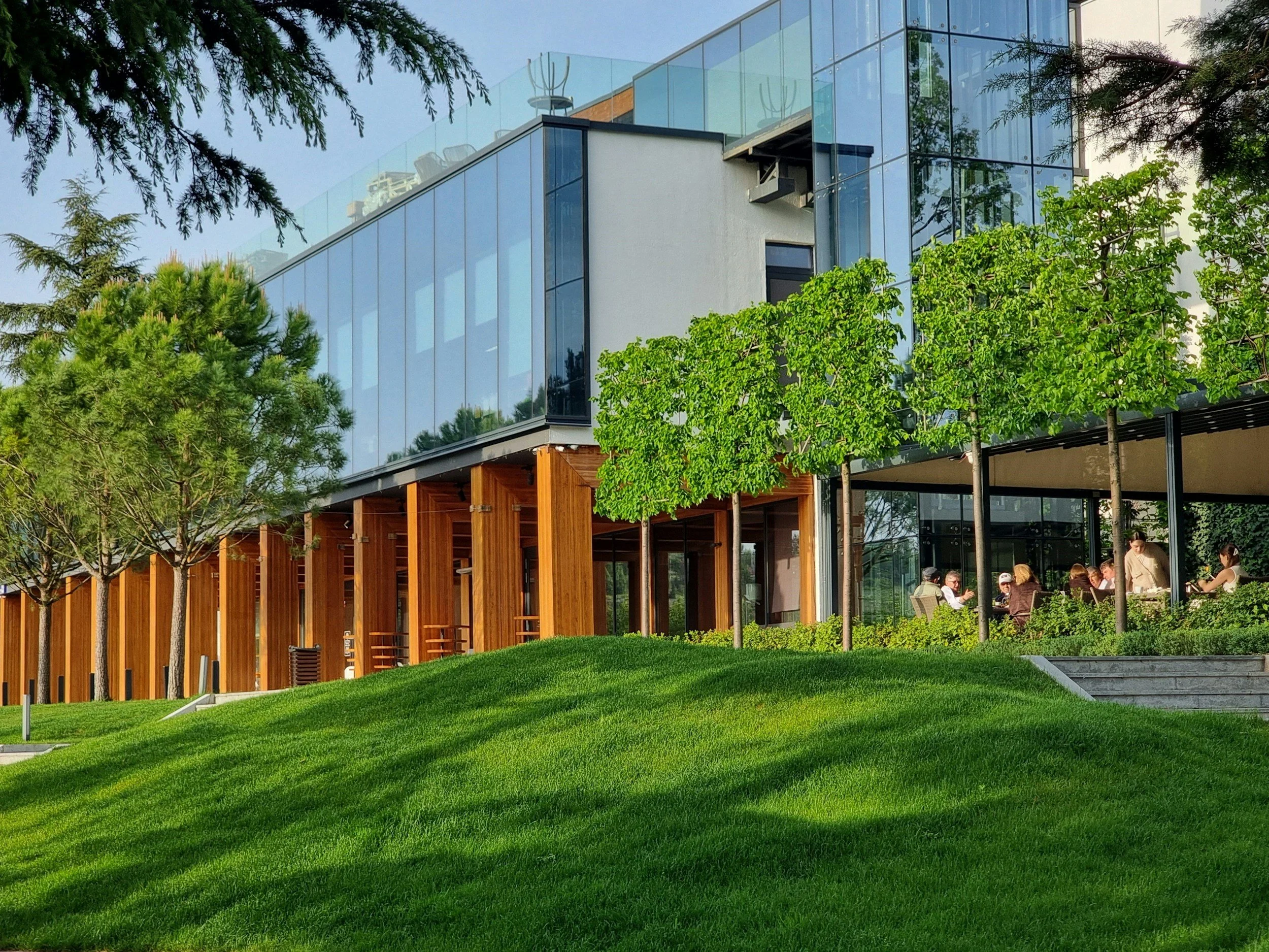 Commercial landscape project